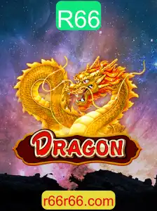 Dragon: O Fascinante Mundo do Jogo 